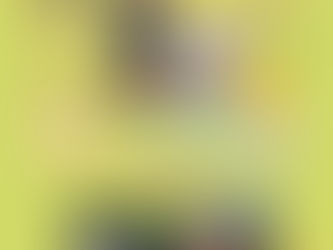 上映会のお知らせ