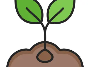 The Seed