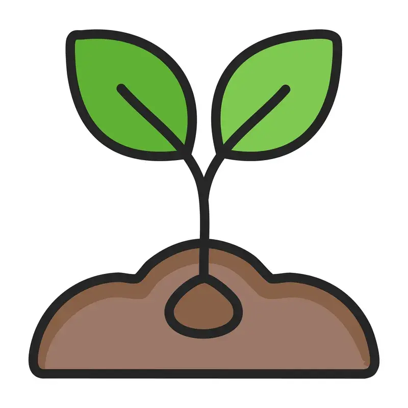 The Seed