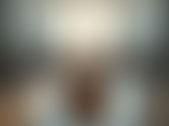 Eleições 2024: O Futuro da Democracia Brasileira