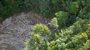Brasil discute novos modelos de licenciamento ambiental inspirados na Europa