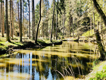 Waldnaabtal