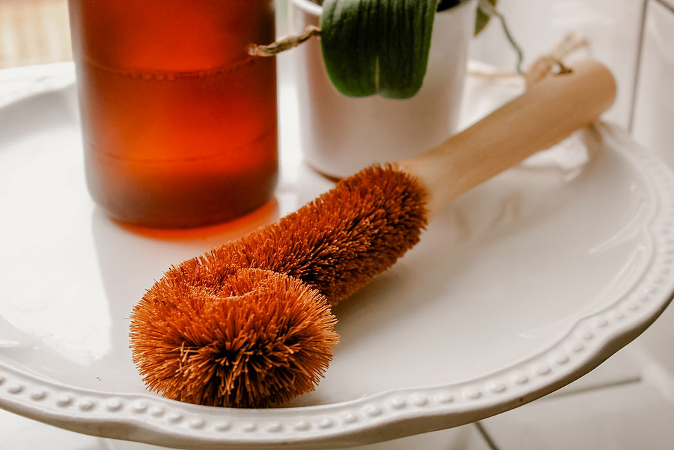 Coconut Pot Brush