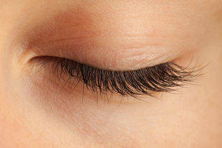 How many eyelashes do you lose in a day?