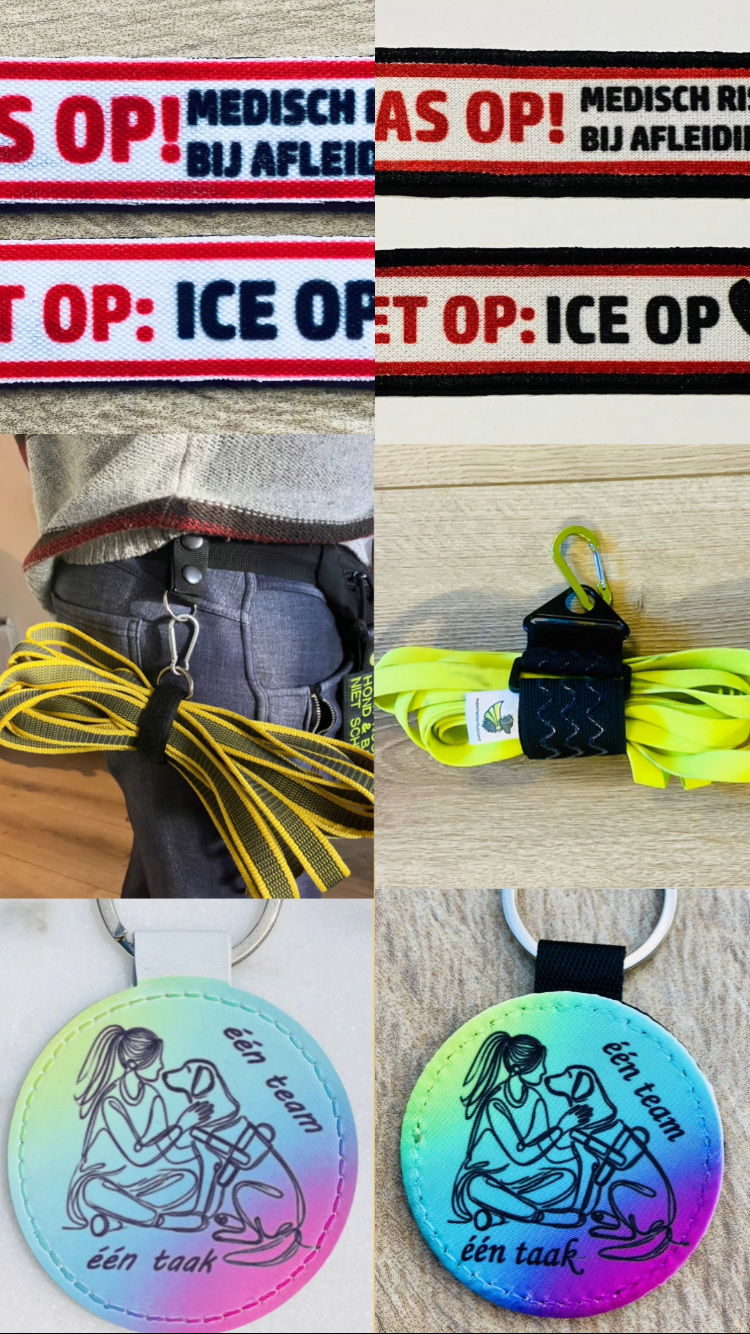 SuperheldenHulphond: Altijd in ontwikkeling – ambacht, kennis en groei in één webshop