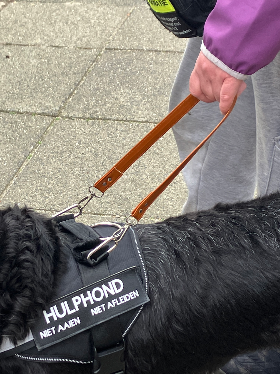 Thumbnail: Pull strap kunstleer zwart/bruin