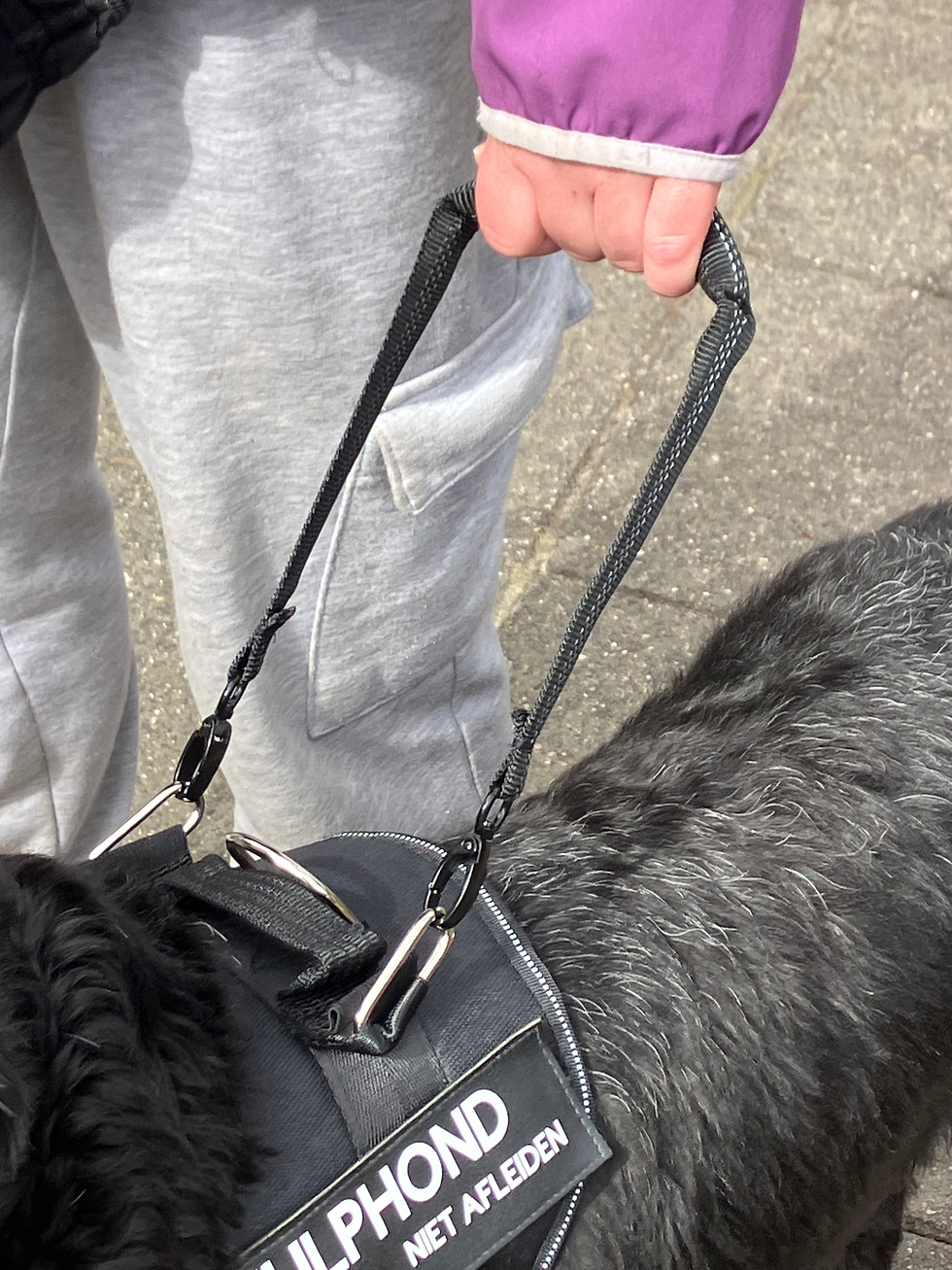 Thumbnail: Reflecterende hulphond pull strap – compact handvat voor trek- en geleidetaken.
