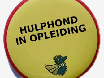 Van gewoon tuigje naar hulphond-in-opleiding: een kleine knop met groot effect!