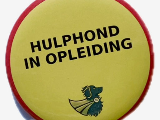 Van gewoon tuigje naar hulphond-in-opleiding: een kleine knop met groot effect!
