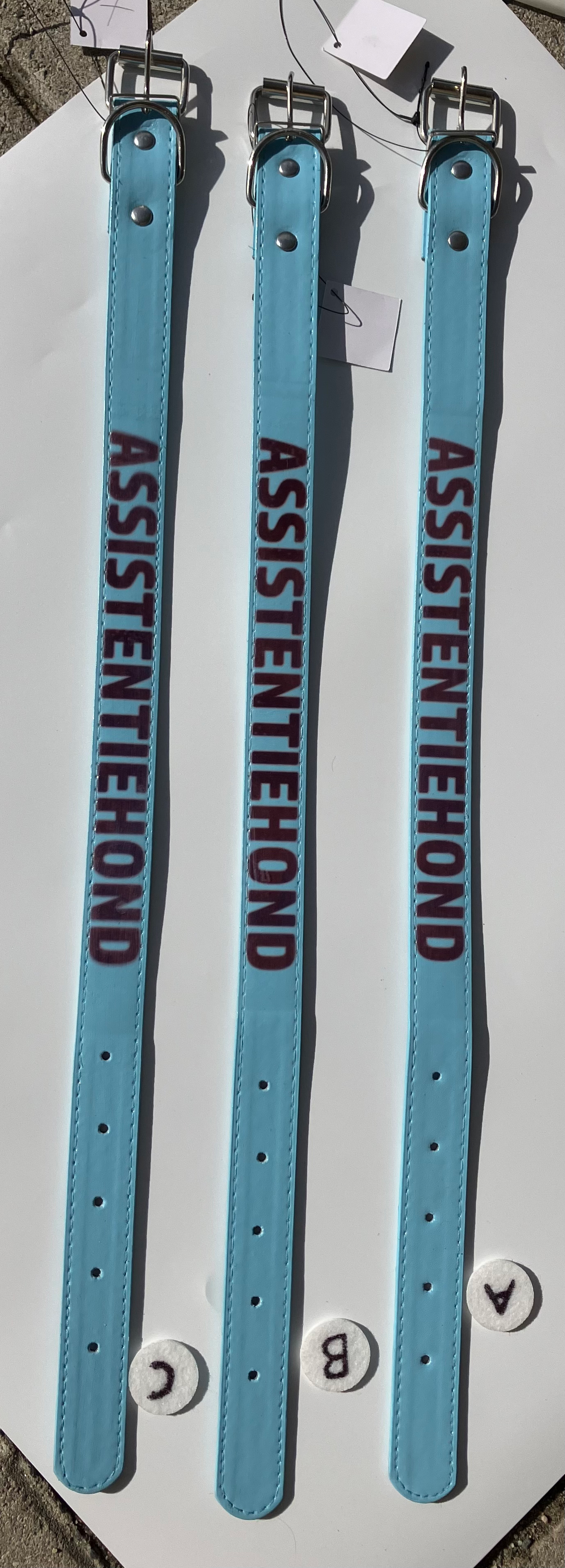 Blauwe Halsband met ‘ASSISTENTIEHOND’-opdruk – Held in Herkansing (maat groot) 