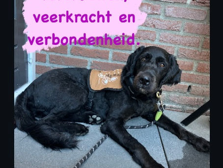 Niet stilstaan maar bijsturen: Hoe Iris en ik bleven bouwen