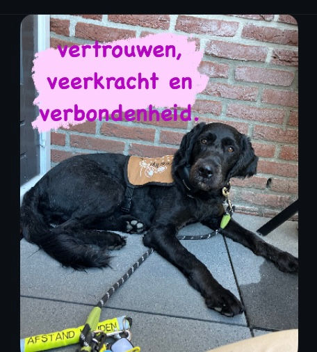 Niet stilstaan maar bijsturen: Hoe Iris en ik bleven bouwen