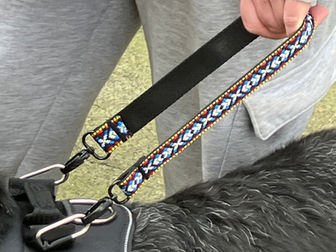 Hoe een pullstrap psychosociale hulphonden en hun baasjes helpt: veilige geleiding, rust en houvast in het dagelijks leven