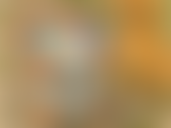 Aardwarmte-metingen in woonwijken: impact op honden, overprikkeling en leven met grijs-oranje meetkastjes