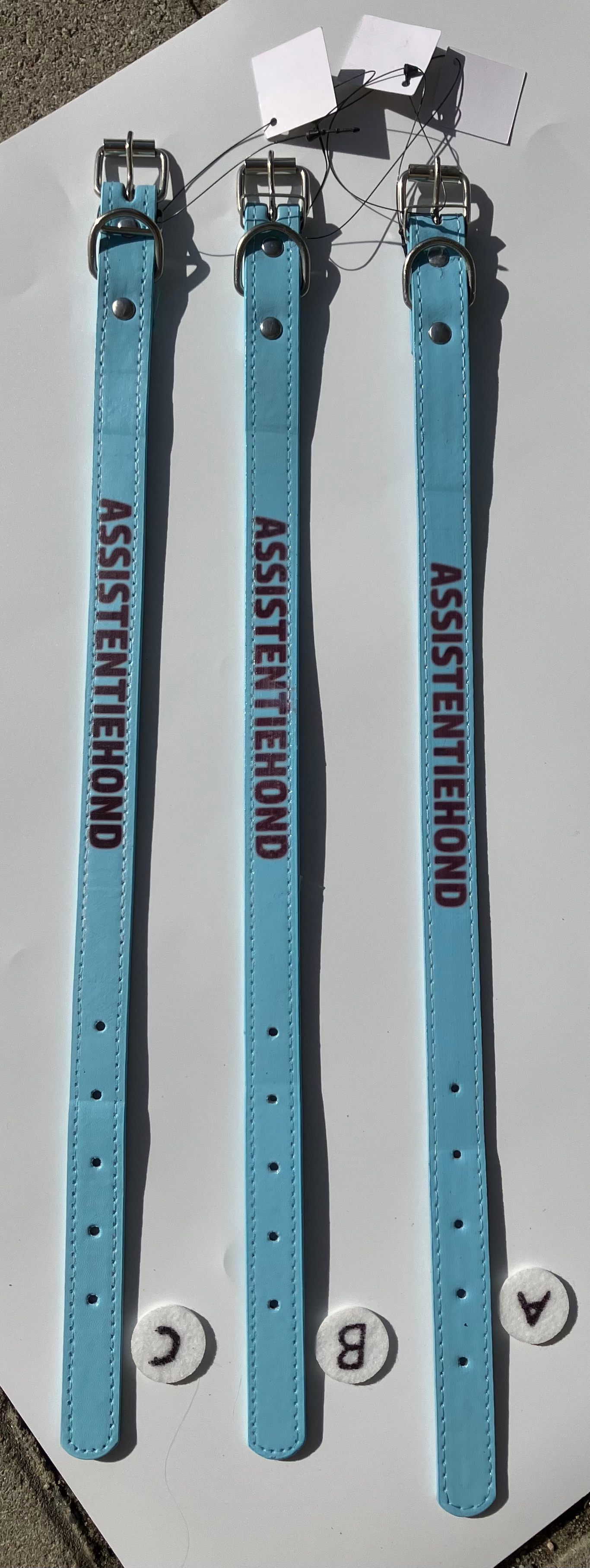 Blauw Halsband ‘ASSISTENTIEHOND’ – Held in Herkansing (maat klein)