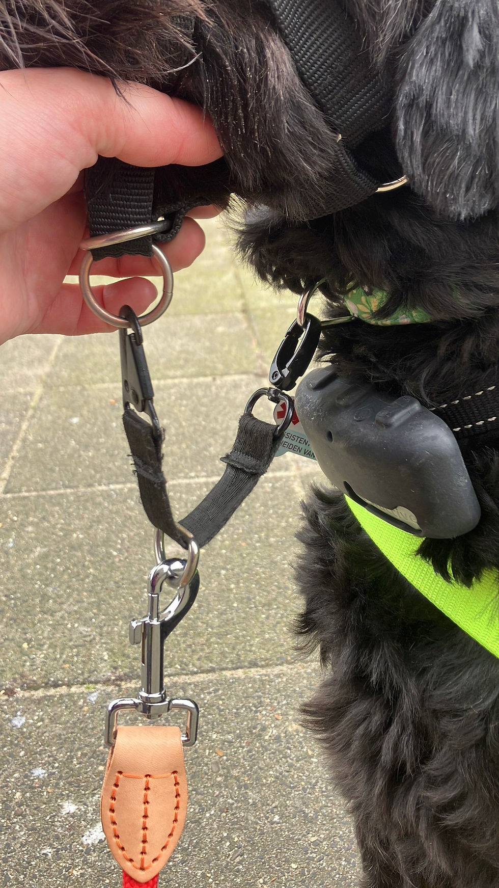 Thumbnail: Drukverdelingsbandje voor hulphond, handgemaakt van sterk band met karabijnhaak en ring.