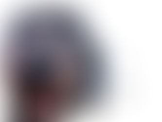 Waarom ik mijn merk SuperheldenHulphond officieel heb geregistreerd