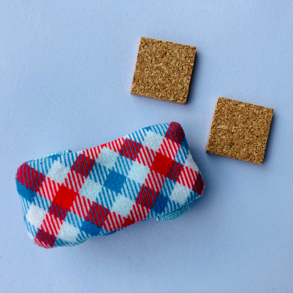 ๐ฟ Geur als superkracht: hoe ik geur inzet voor mezelf รฉn mijn assistentiehond