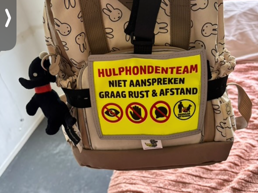 “Zichtbaar zonder woorden: de backpatch voor hulphondenteams”