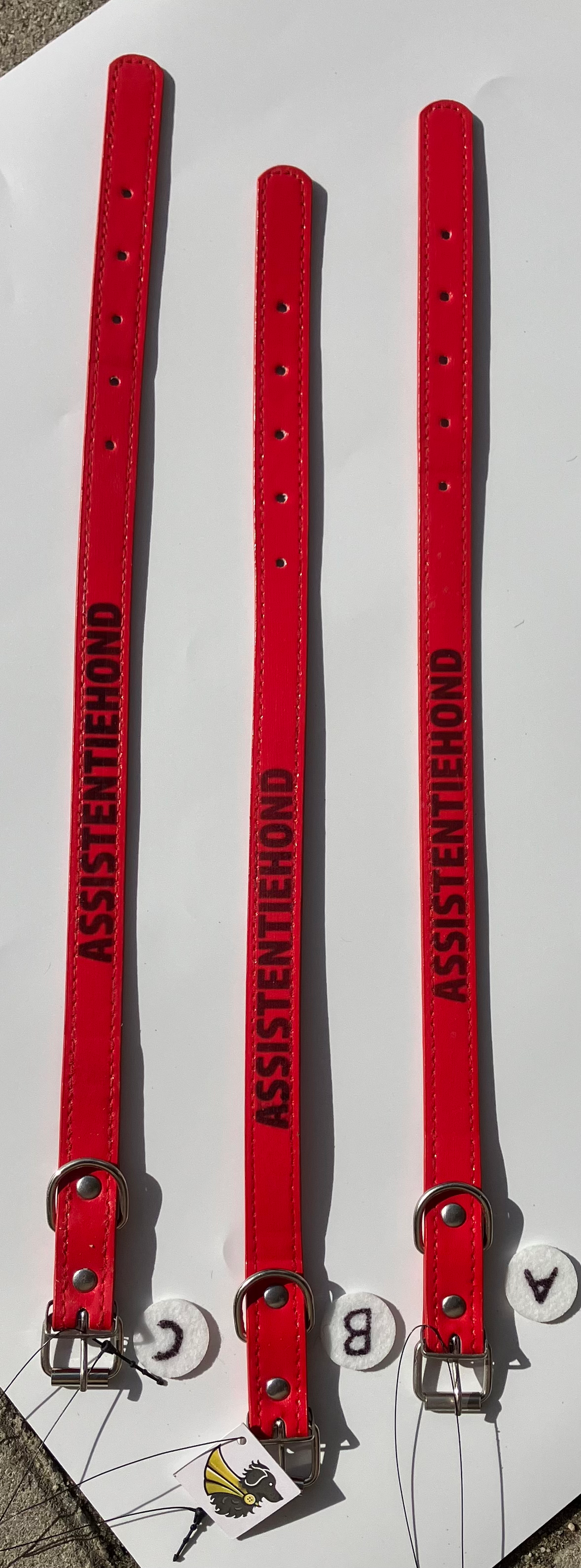 Rode Halsband ‘ASSISTENTIEHOND’ – Held in Herkansing (maat klein)