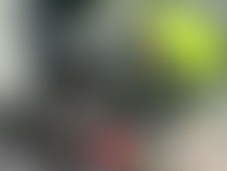 “Veilig en ontspannen reizen met je hulphond (ook als hij wagenziek is)”
Met tips over veiligheid, geurondersteuning, training en taxi-etiquette