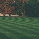 Stripes on a beautiful lawn