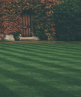 pelouse
