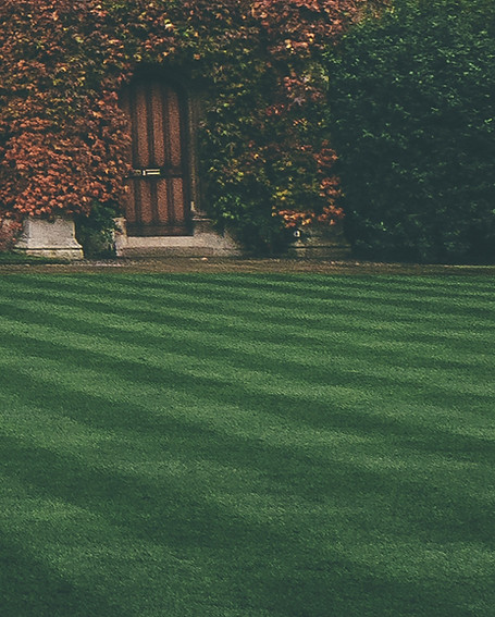 Lawn
