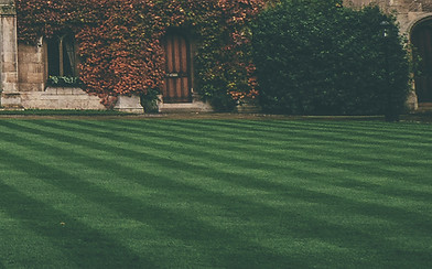 Lawn
