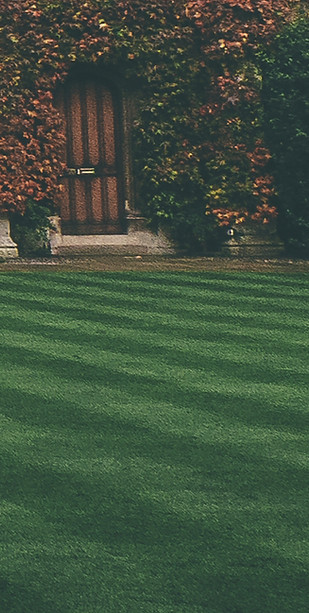 New Lawn Installation Waukesha