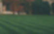 Lawn