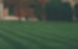 Lawn