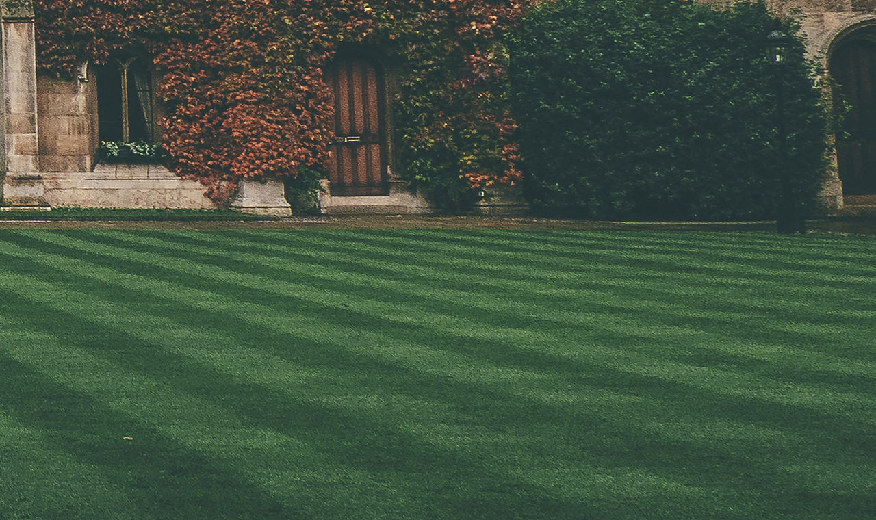 Lawn