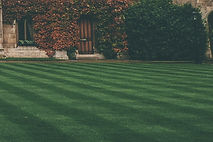 Lawn