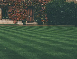 Lawn