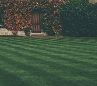 Lawn