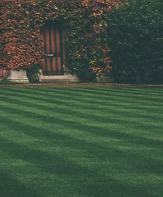 Lawn