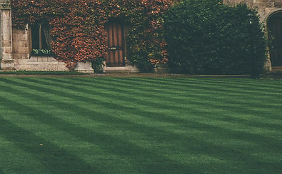 Lawn and Ivy