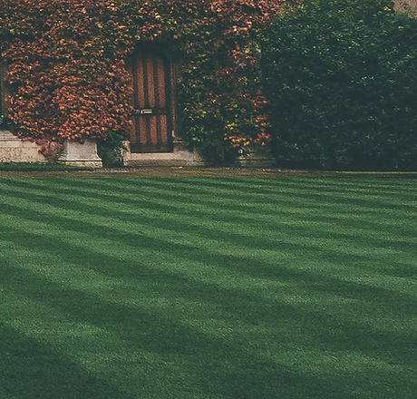 Lawn