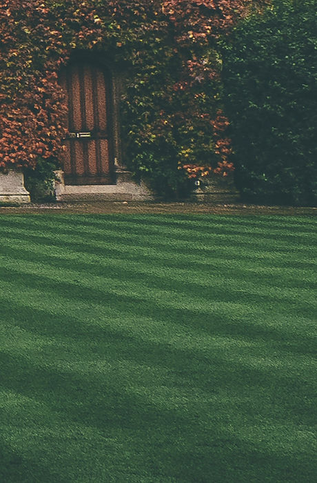 Lawn