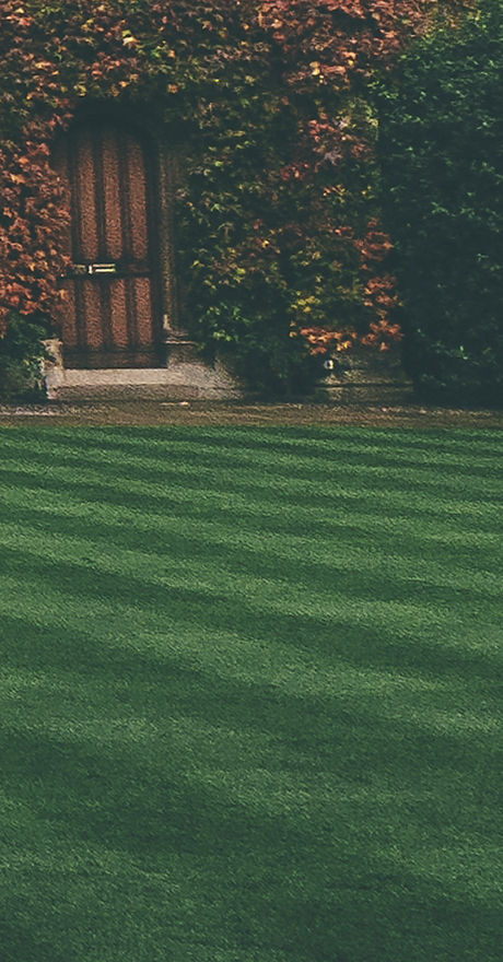 Lawn