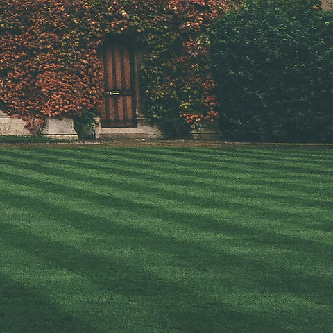 Lawn