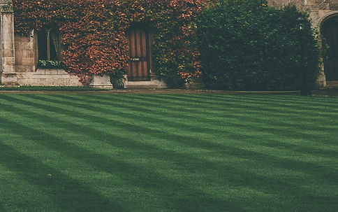 Lawn and Ivy