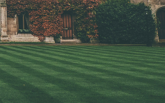 Lawn
