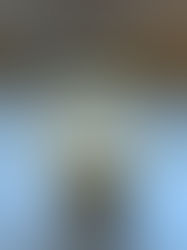 Coconut Cream Crème Anglaise (DF)