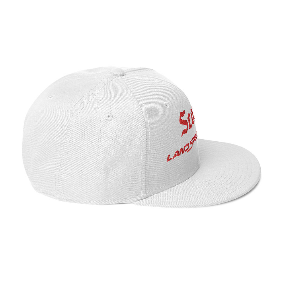 Thumbnail: Snapback Hat