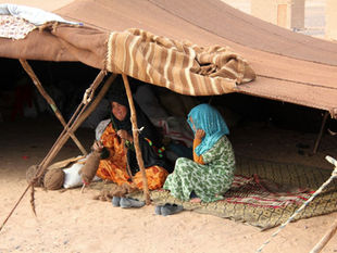 Surviving the desert heat: 7 timeless Berber techniques for 2024