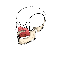 CEPH.gif