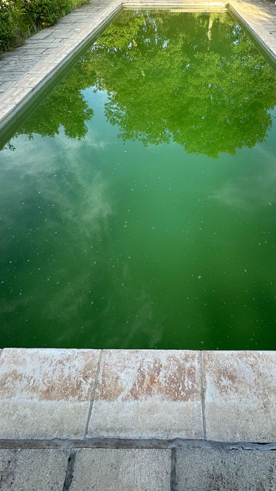 Rattrapage d'urgence d'eau verte de piscine : traitement choc intensif pour retrouver une eau claire et saine rapidement.