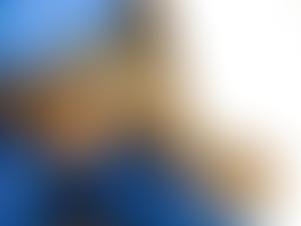 Cajun Legend, Canray Fontenot & His Cigar Box Fiddle